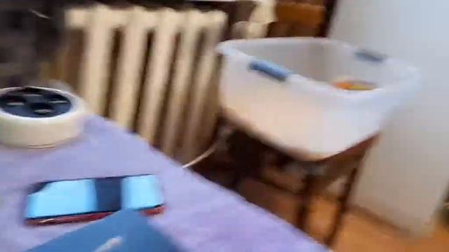 Покупки из фикс прайса? смотреть онлайн