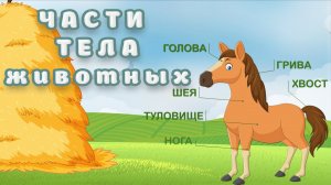 Учим домашних животных. ЧАСТИ ТЕЛА животных.