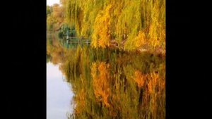 Константин ОГНЕВОЙ - Дремлют плакучие ивы