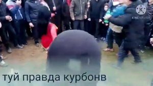 пенжи анаев туй дар правда