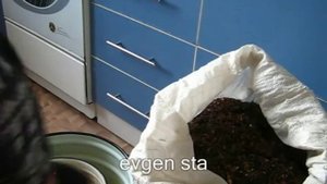 Полезные советы.  Как пропарить землю для рассады