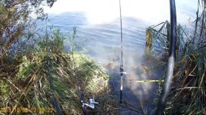 Река Протока Ачуево , Октябрь , сазан , лещ ,карась