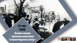 Онлайн лекция «Деревья-памятники Сталинградской битвы»