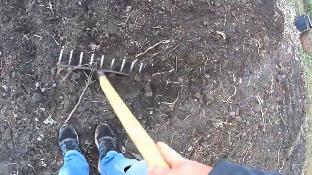 Большой урожай ЧЕСНОКА! Сажаем чеснок ПРАВИЛЬНО! Огород и ДАЧА!