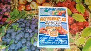 Актеллик. Инсектоакарицид для обработки в закрытом грунте и складах.