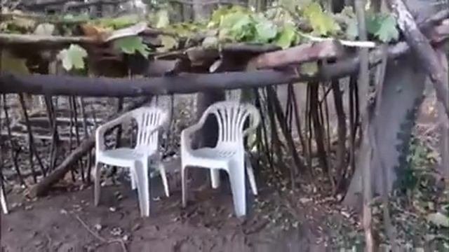 Дети построили домик в лесу👍