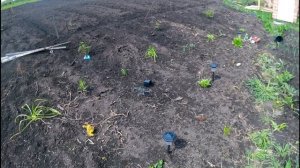 Миксбордер на склоне.Начало.Тонкости планировки,подбор растений,правила посадки.#миксбордер,#сад.