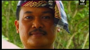 Непутевые заметки 15.02.1998