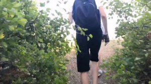 Долина Привидений 09.08.2023