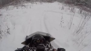 140 по лесу на BRP Freeride 800