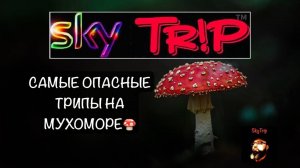 Самые опасные трипы на мухоморе I SkyTrip