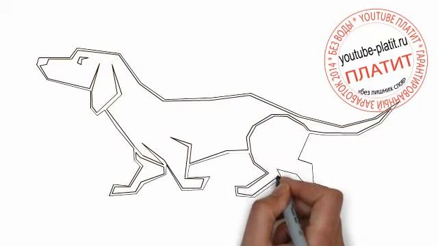 Как нарисовать злую таксу за 14 секунд смотреть онлайн