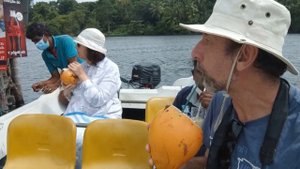 Шри Ланка. Элла . #шриланка#Элла#Хиккадува.#снорклинг