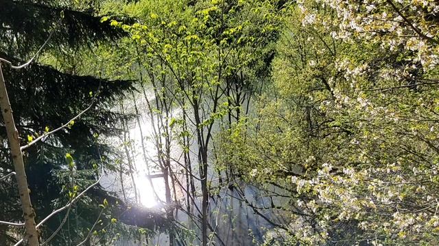 Невероятное озеро Рица в Абхазии. Молочный водопад. Горные реки.