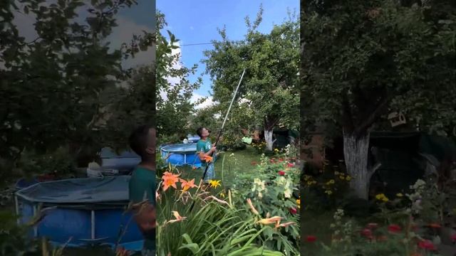 Телескопический сучкорез Fiskars upx86. Зачем он нужен?