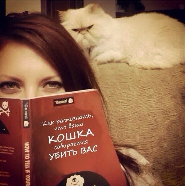 Рассказ Я им не скажу.