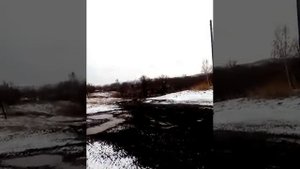 Село Огни Усть-Калманский район Алтайский край