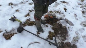 Первая чешуя с  Golden Mask 5+.