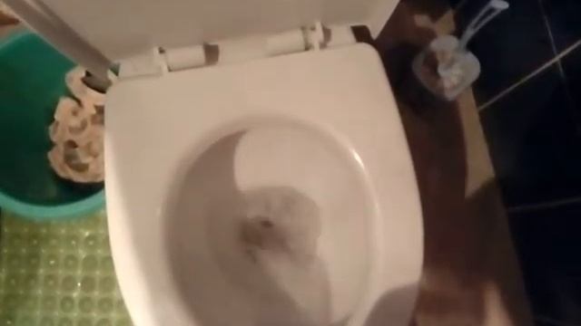 ЧТО БУДЕТ ЕСЛИ СМЫТЬ В УНИТАЗ..... ??!! смотреть онлайн