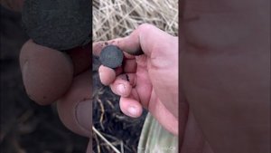 Коп по старине Minelab manticore