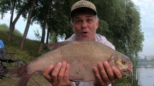 Огромные лещи выбирают кукурузу Рыбалка в центре мегаполиса на фидер и донки