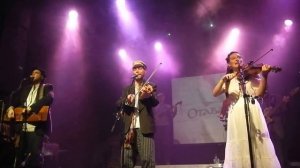 Отава ё в A2 12.05.2017 Метелки вязали