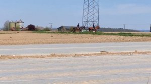 Дальнобой. Работа в Европе по польской визе. Автопутешествие