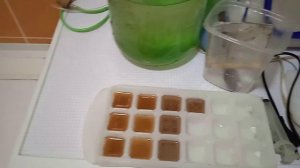 разведение артемии часть вторая.avi