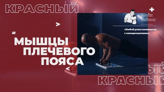 Обзор PushUp PRO упор для отжиманий 14в1 I Ganteli.ru смотреть онлайн