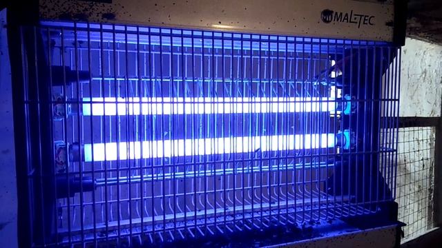 Лучшее средство от мух и комаров! смотреть онлайн