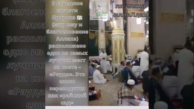 Райский сад. Дом пророка Мухаммада ﷺ мир ему и благословение Аллаха, мечеть в Саудии.