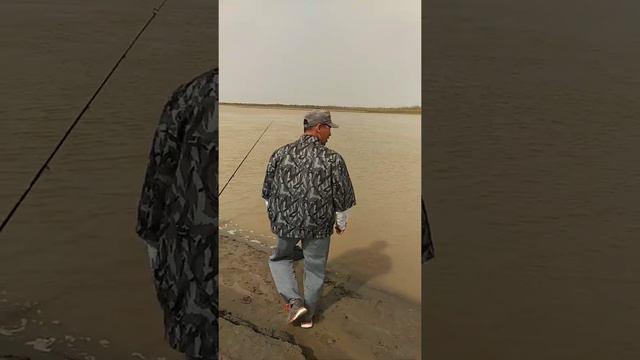 РЫБАЛКА НА АМУДАРЬЕ ...🐟🐟🐟👍