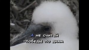 "А не спеши ты нас хоронить..." группы "ЧАЙФ". КАРАОКЕ!!!
