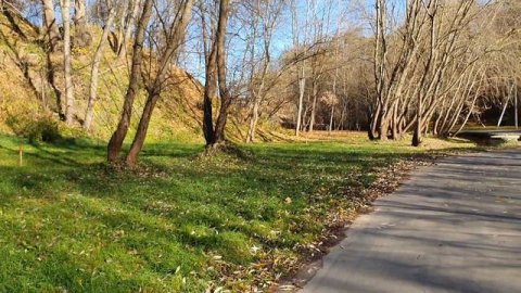 Обзор влогов / Многомама / Что такое ВАЖНОЕ хочет донести до своих зрителей Многомама?!