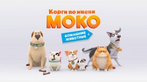 Корги по имени Моко. Домашние животные, 101 серия. Игра со шнурком