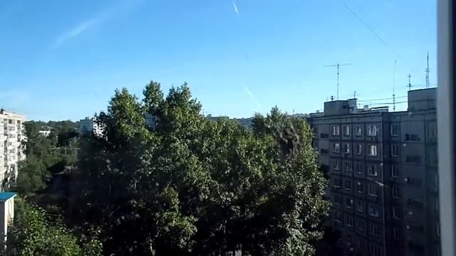 Репортаж о пауке с большими амбициями смотреть онлайн