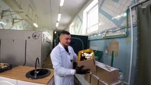 Собираю грибы в декабре. Как вырастить грибы в домашних условиях