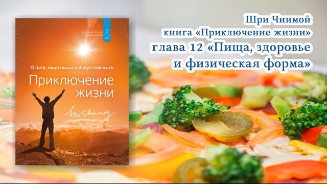 Часть 12 "ПРИКЛЮЧЕНИЕ ЖИЗНИ" Шри Чинмой  АУДИОКНИГА