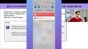 Установка и Настройка Charles Proxy и подключение смартфона | Чарльз прокси для Тестироващика