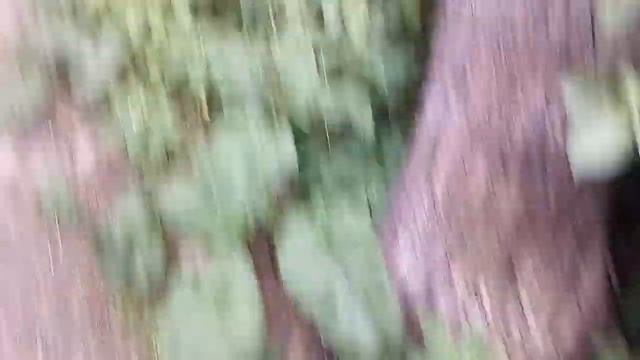 2 часть отдых на даче в Воронежской области в городе Липецк в деревне смотреть онлайн