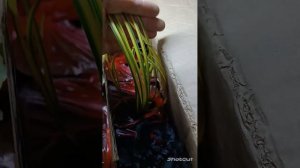 Распаковка от второго поставщика. Гейхеры.