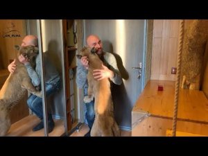 Домашняя работа. Пума Месси способный ученик