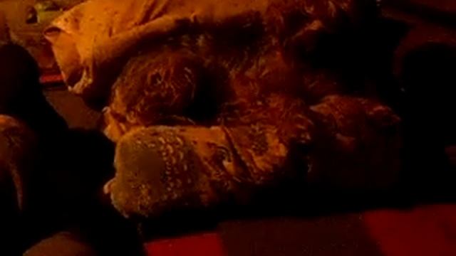 Мышь- спишь? смотреть онлайн