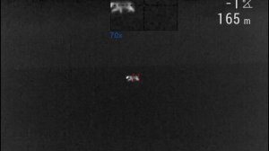 Ночная охота на шакала. Шакал вышел на духовой манок MID-RANGE COTTON.