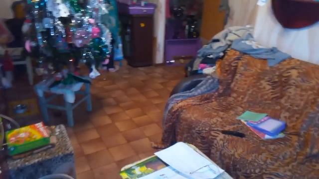 Видео о том, как ухаживать за мопсом смотреть онлайн