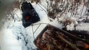 Регион 88 | Вывозка мяса