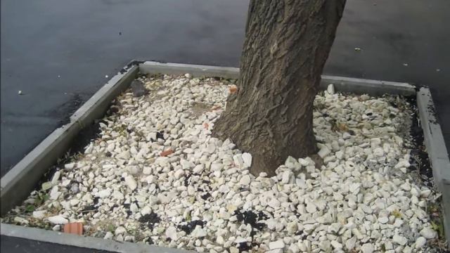 Этот город наш с тобою смотреть онлайн