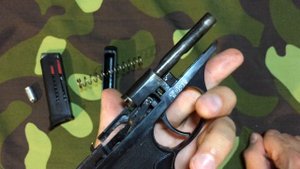ПСМ СХ от Курс-С 10х24 Гром-пушка?