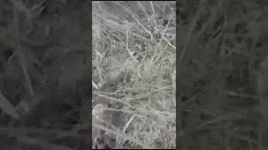 Обычный русский мужик делиться бытом и рассказывает как оно все происходит на войне.