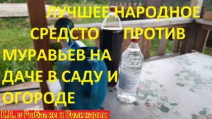 Я В ЭТО НЕ ВЕРИЛ НО ЭТО НАРОДНОЕ СРЕДСТВО ПОМОГЛО СРАЗУ ИЗБАВИТЬСЯ ОТ МУРАВЬЕВ НА ДАЧЕ И ОГОРОДЕ
